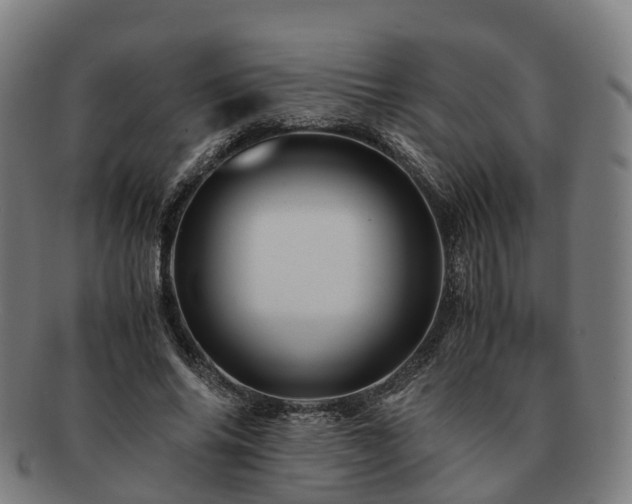 X0000091710686200708311116