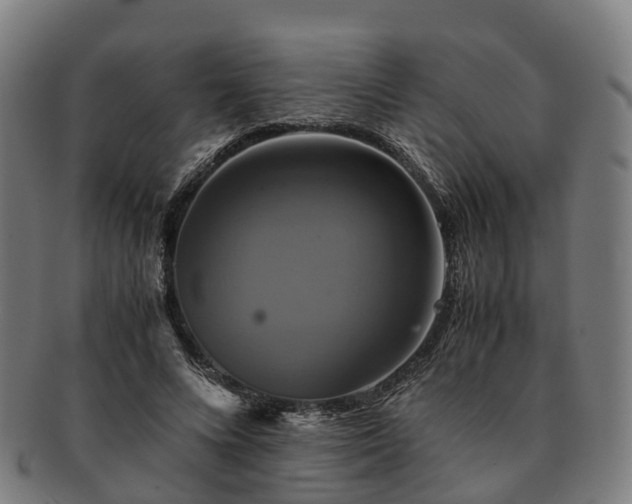 X0000091710688200708311116