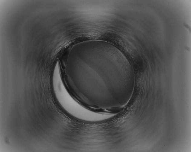 X0000091710689200708311116