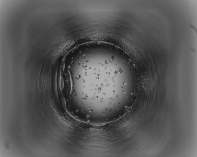 X0000091710690200708311116