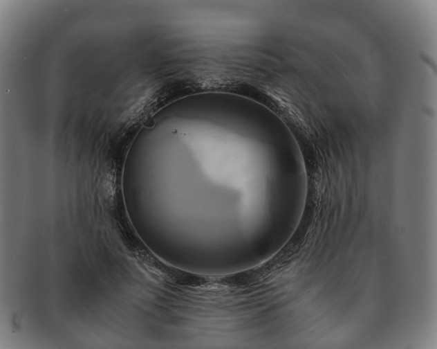 X0000091710691200708311116