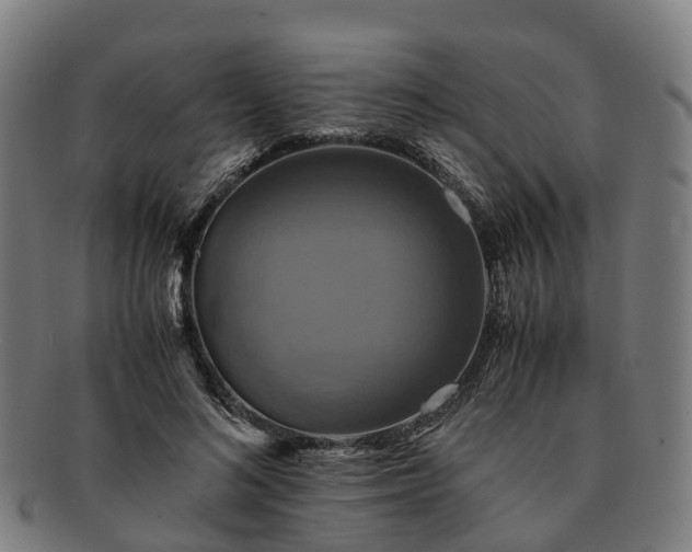 X0000091710692200708311116