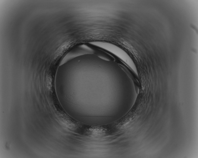 X0000091710693200708311116