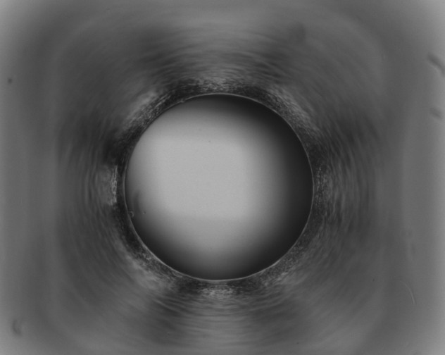 X0000091710694200708311116