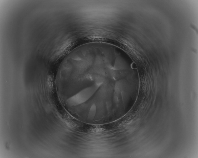 X0000091710695200708311116