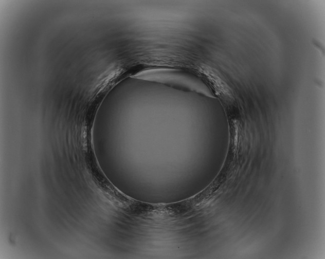 X0000091710696200708311116