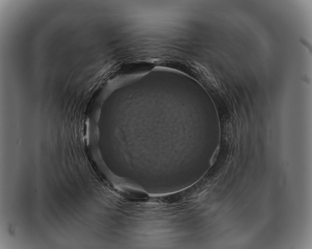 X0000091710697200708311116