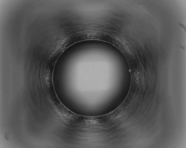 X0000091710698200708311116