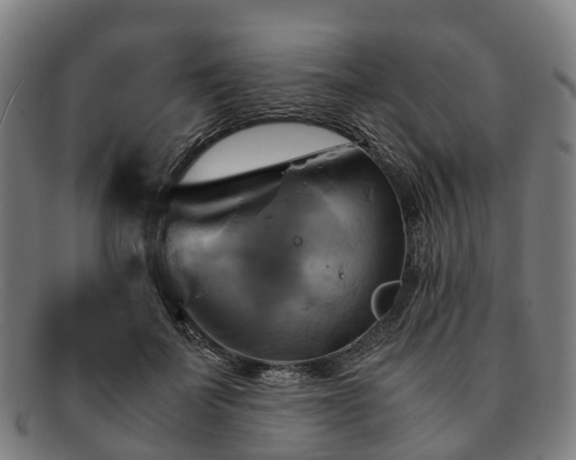 X0000091710699200708311116