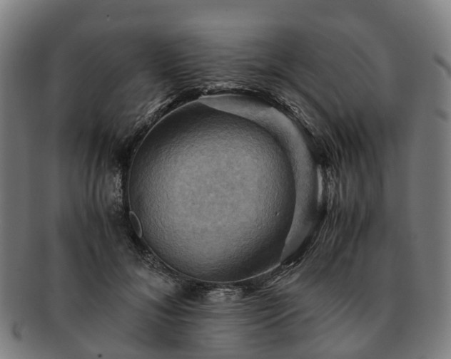 X0000091710700200708311116