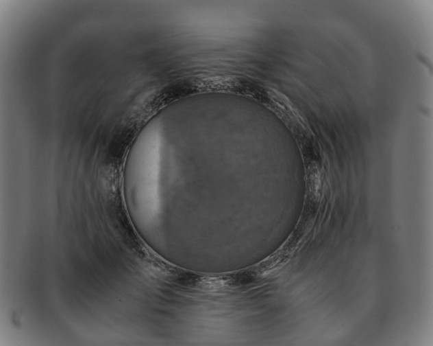 X0000091710701200708311116