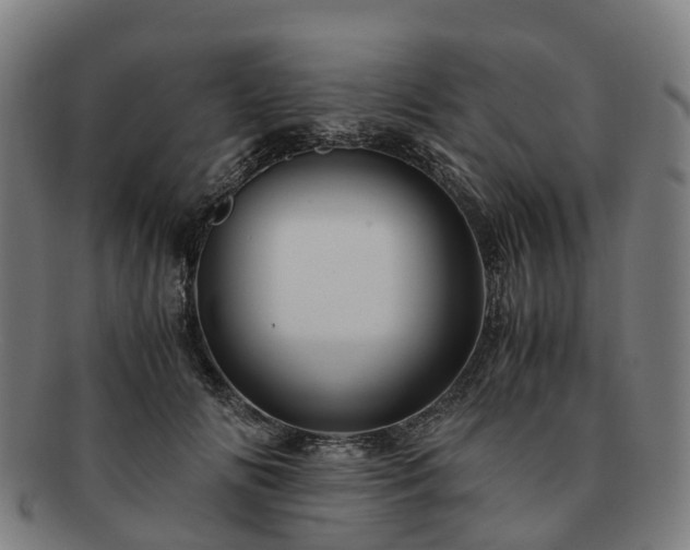 X0000091710702200708311116