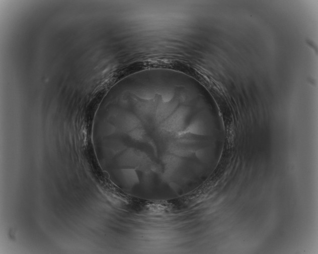 X0000091710703200708311116