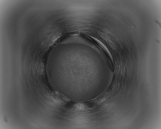 X0000091710704200708311116