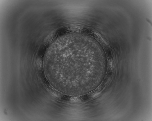 X0000091710705200708311116