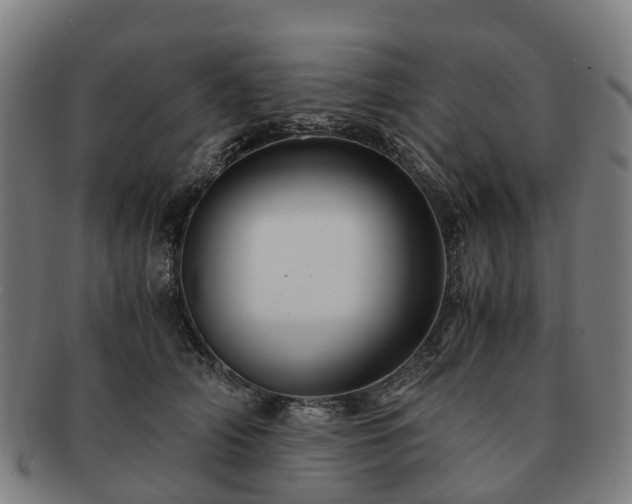 X0000091710706200708311116