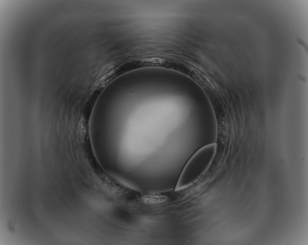 X0000091710707200708311116