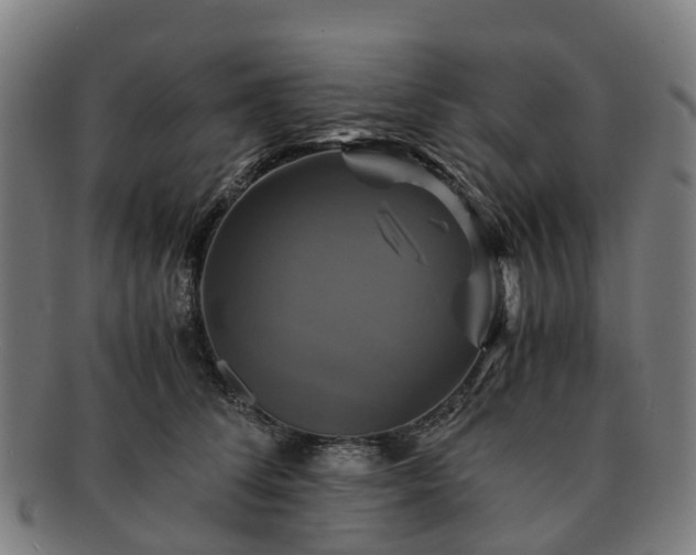 X0000091710708200708311116