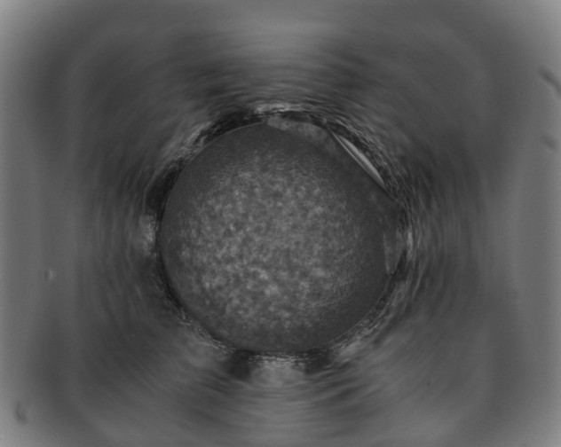 X0000091710709200708311116