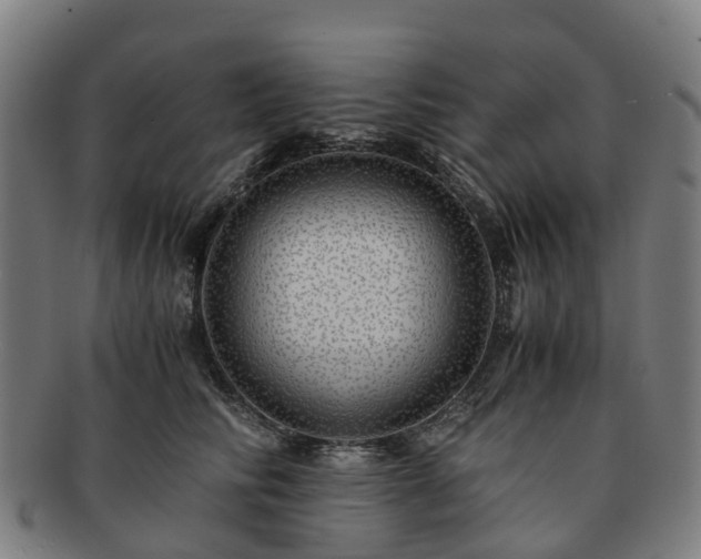 X0000091710710200708311116