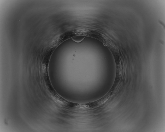 X0000091710711200708311116