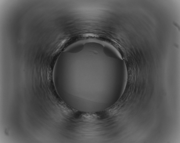 X0000091710712200708311116