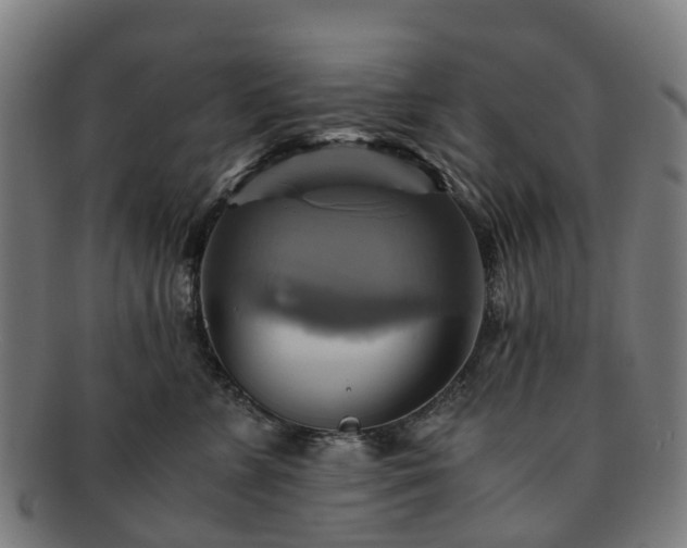 X0000091710715200708311116