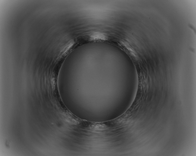 X0000091710716200708311116