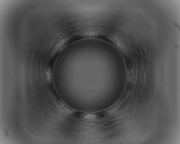 X0000091710718200708311116