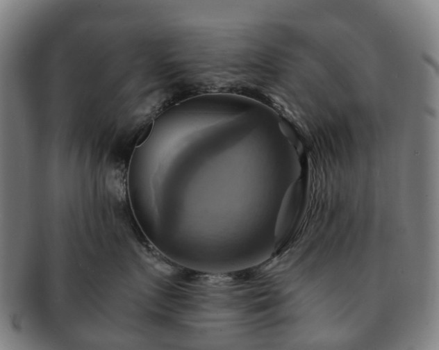 X0000091710719200708311116