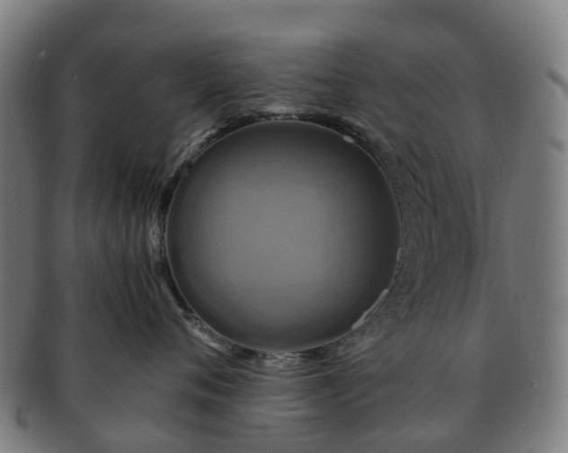 X0000091710720200708311116