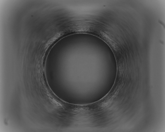 X0000091710721200708311115