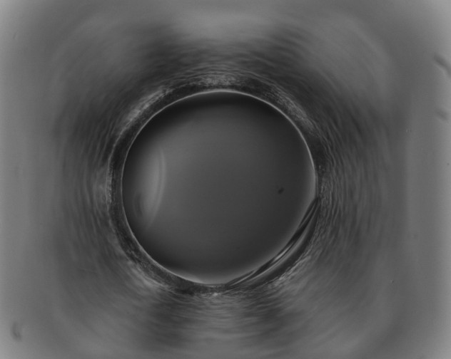 X0000091710722200708311115