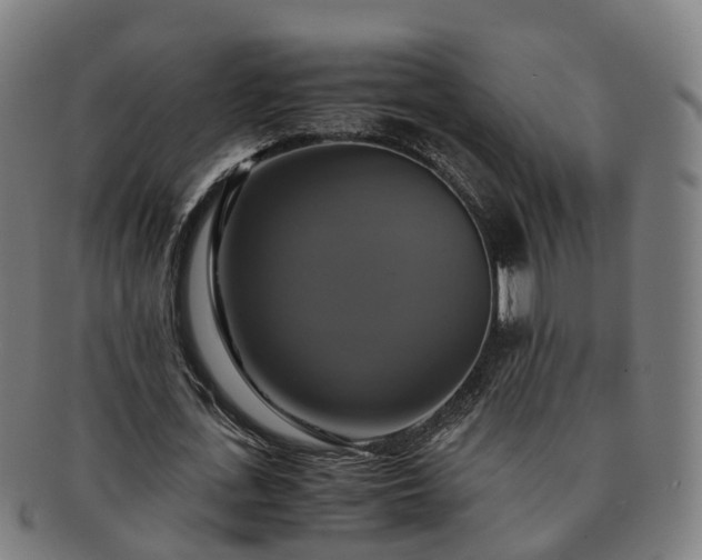 X0000091710723200708311115