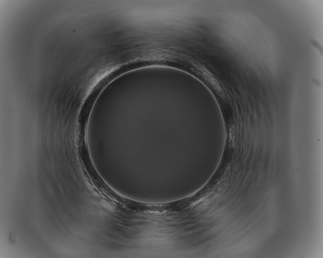 X0000091710724200708311115