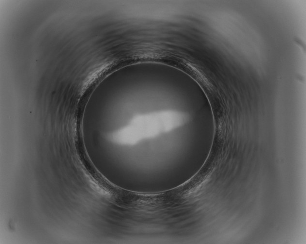 X0000091710725200708311115