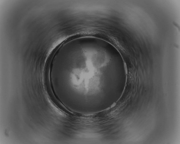 X0000091710726200708311115