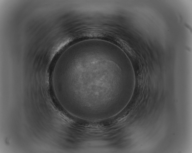 X0000091710727200708311115