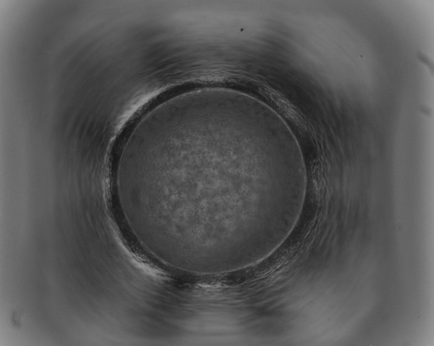 X0000091710728200708311115