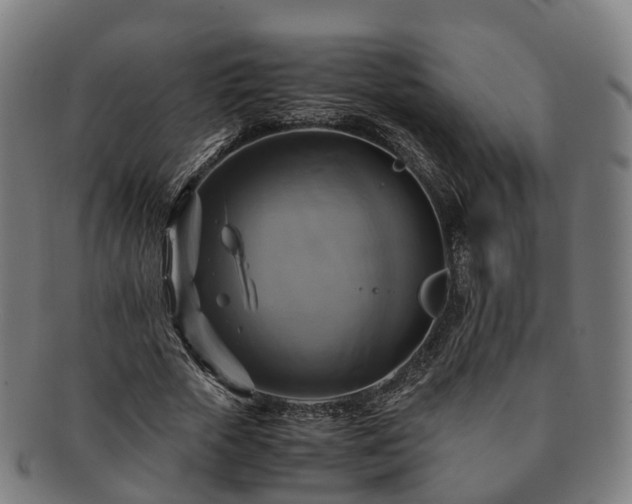 X0000091710729200708311115