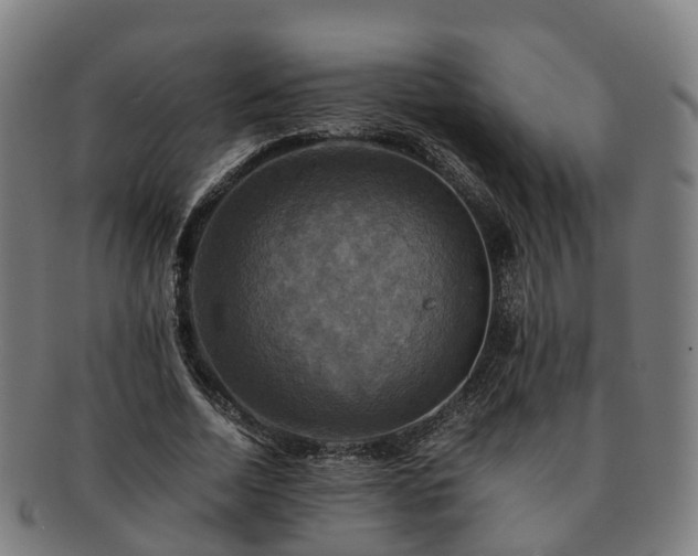 X0000091710730200708311115