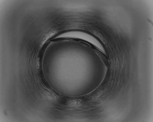 X0000091710731200708311115