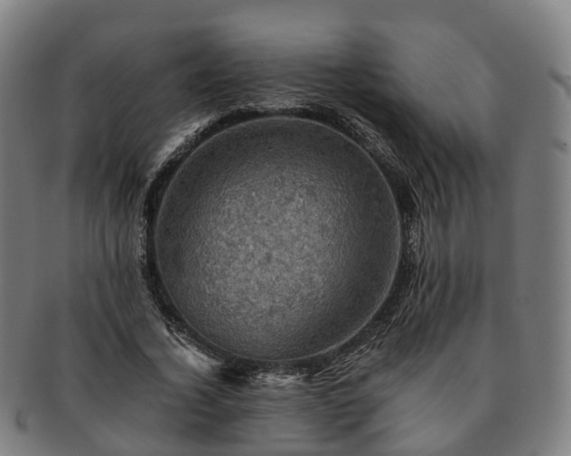 X0000091710732200708311115