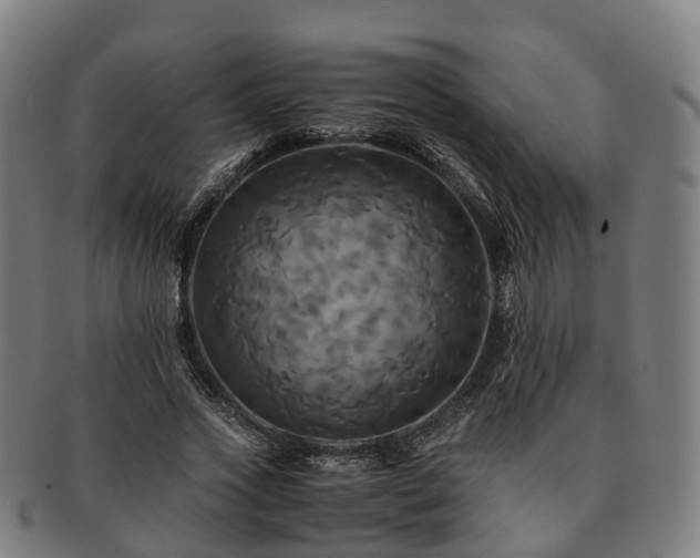 X0000091710733200708311115