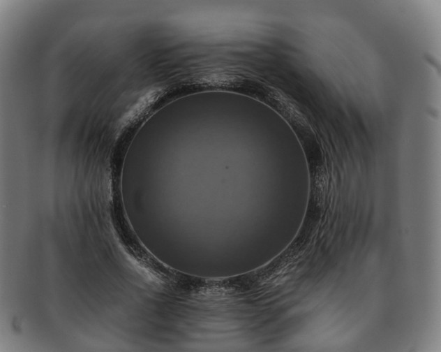 X0000091710734200708311115