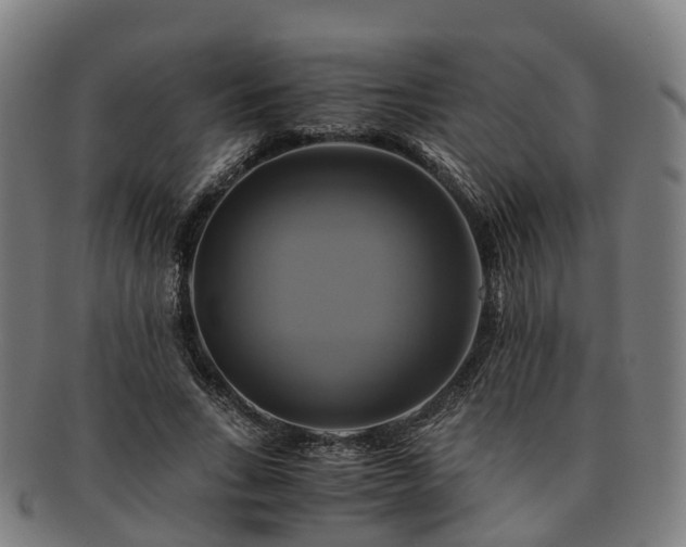 X0000091710735200708311115