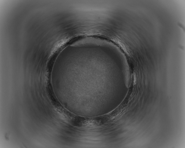 X0000091710736200708311115