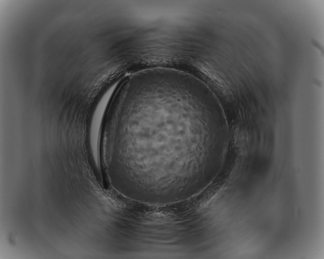 X0000091710737200708311115