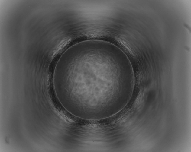 X0000091710738200708311115