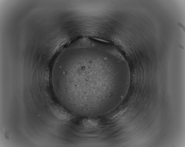 X0000091710739200708311115